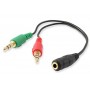 Ewent Cabo Adaptador Aúdio  1x 3.5 mm AUX 4-pin F - 2x 3.5 mm AUX 3-pin M