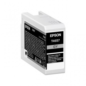 Epson T46S7 UltraChrome Pro 10 Gray